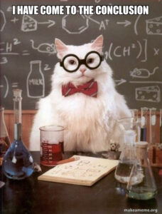 a cat in glasses and a bowtie concluding the article on headers